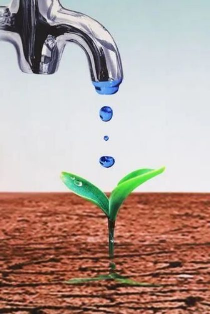 水是生命的源泉,生活与水息息相关